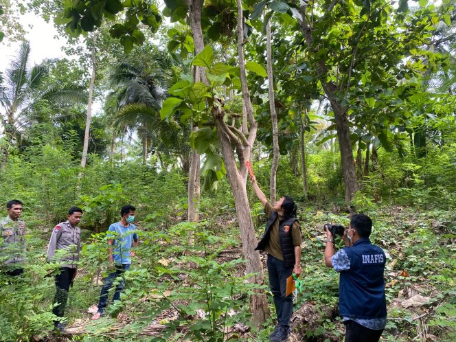 
					Petani di Limboro Ditemukan Tewas Tergantung di Pohon Jati, Polisi Lakukan Olah TKP