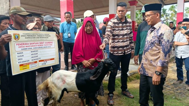 
					Salurkan Bantuan Bibit Kambing di Wonomulyo, Bupati Samsul Mahmud Tegaskan Dorong Kesejahteraan Peternak
