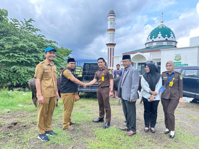 
					Pemprov Sulbar Serahkan Sapi Kurban kepada Kejati Sulbar