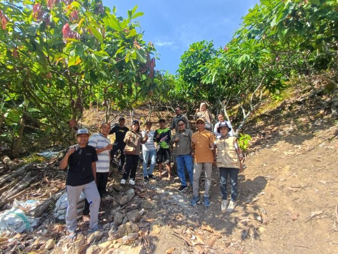 
					Sambut Kunjungan Bappenas, Dinas Perkebunan Sulbar Survei Sentra Kakao di Pammulukang