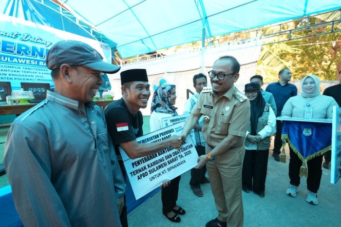
					Gubernur Suhardi Duka Serahkan Bantuan Kambing dan Ayam ke Kelompok Tani-Ternak Majene