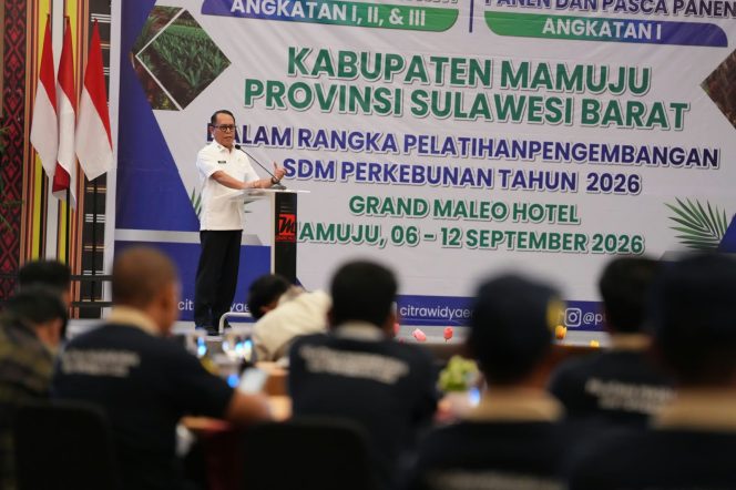 
					Potensi Besar Sawit Sulbar, Sekda Junda: Peningkatan SDM Jawaban untuk Daya Saing Global